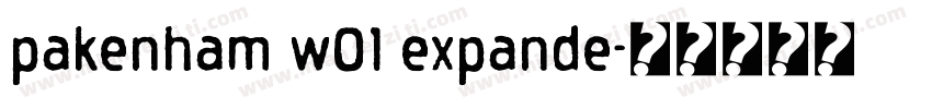 pakenham w01 expande字体转换